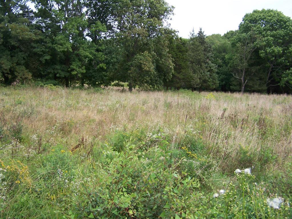 00 SPRING HILL ROAD