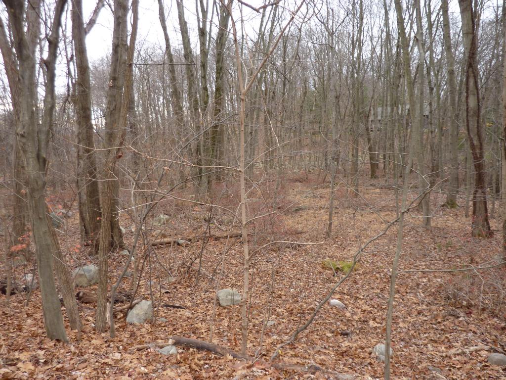 180 MAGEE RD