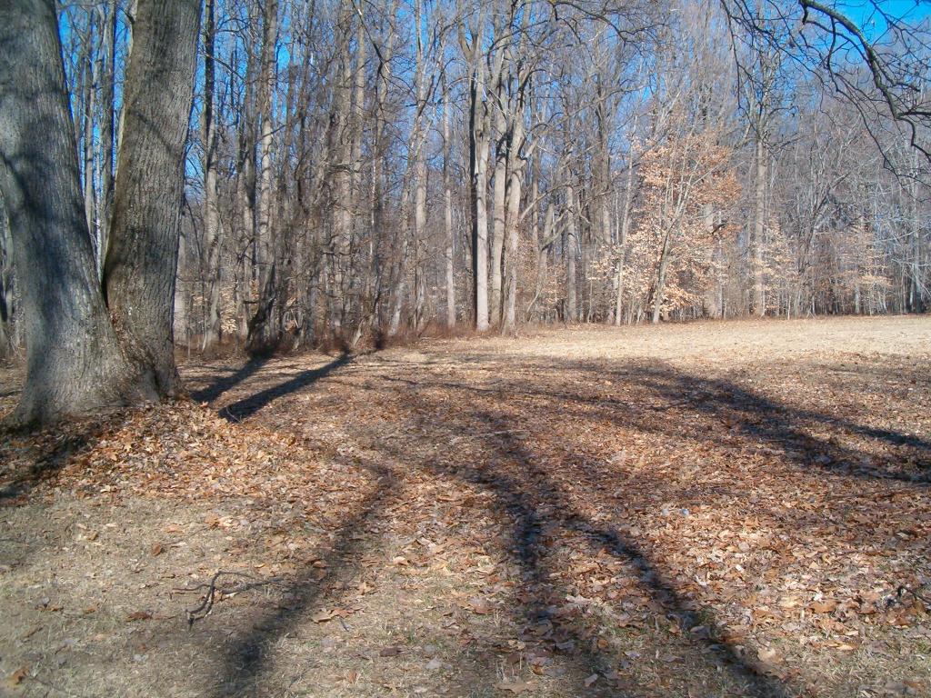 5 THANKSGIVING RD