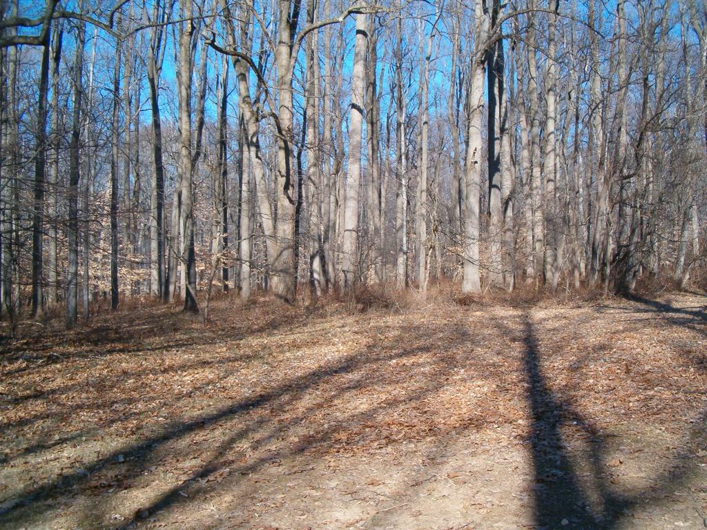5 THANKSGIVING RD