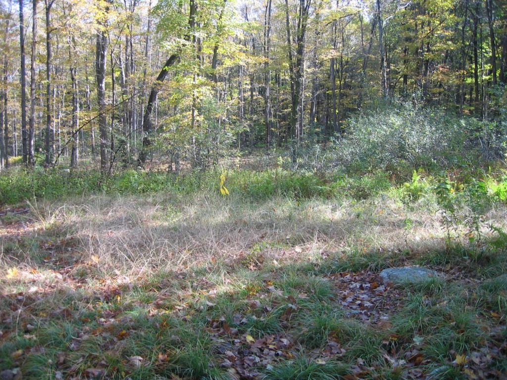 000 CLINTON RD