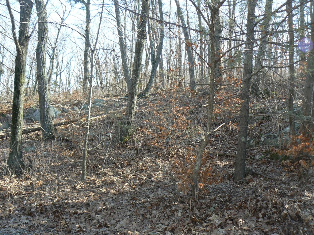 5 SNOW SHOE TRL