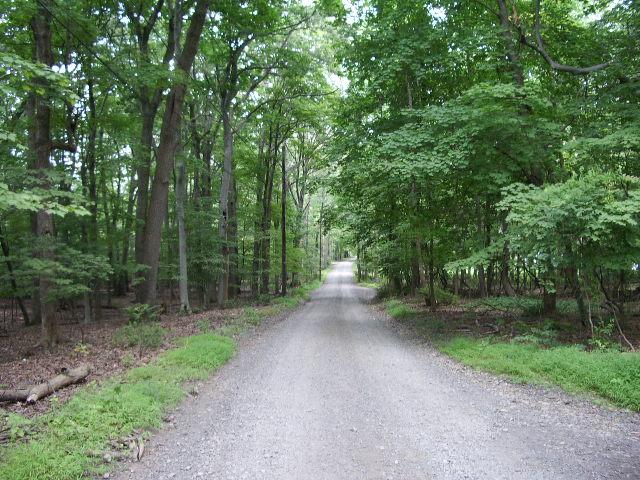 MLS #/Web ID: 2707508