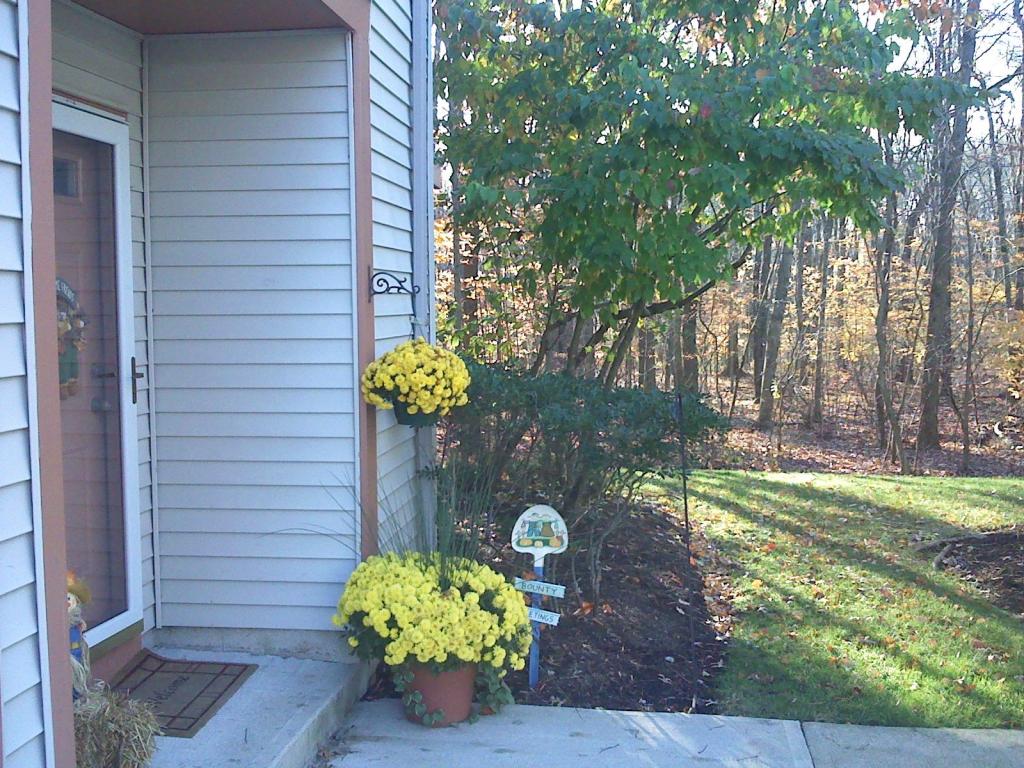 MLS #/Web ID: 2725908