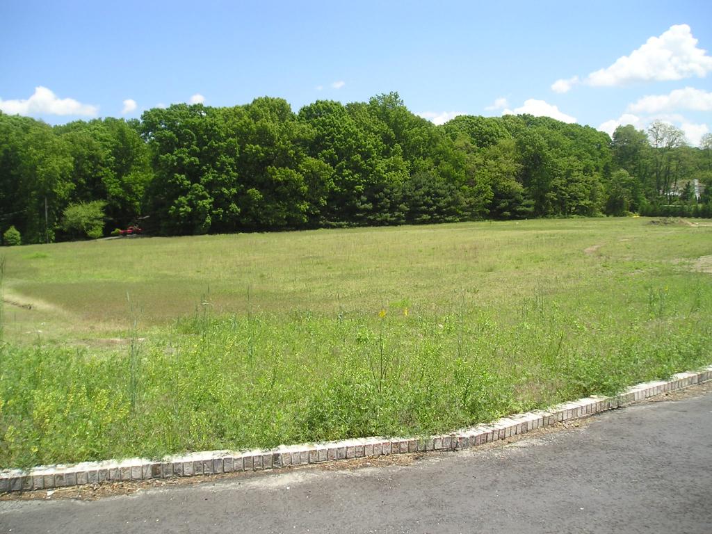 Pretty high &amp;level  rectangular lots.Completely approved lots for homes to 6,000 sq ft. Nat.gas and electricity on site. Your plans or ours!Start bulding your dream home tomorrow.Next to million +home Exceptionally pretty, two completely approved building lots for home up to 6,000 sq. feet. Natural gas and electicity on site.design. Plans available. Start building your dream house tomorrow! 2nd lot  2.4 acres 349,900.