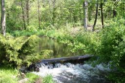 MLS #/Web ID: 2705612