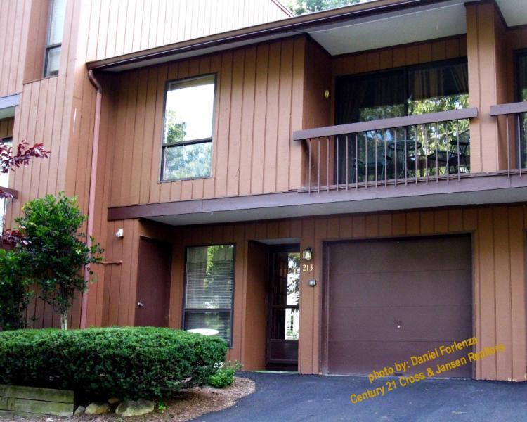 213 EAST VIEW