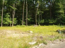 MLS #/Web ID: 2707512