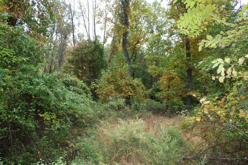 MLS #/Web ID: 2721414