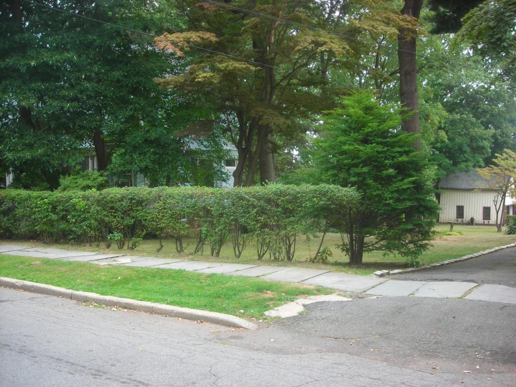 MLS #/Web ID: 2598416