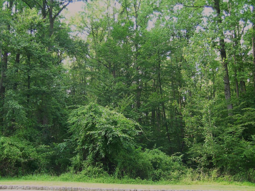 14 Old Mine Road