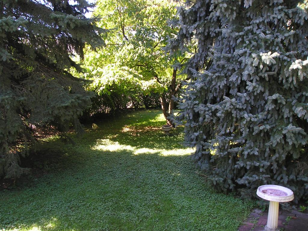 23 W DEWEY AVE