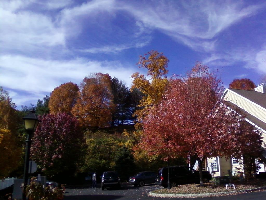 MLS #/Web ID: 2723916