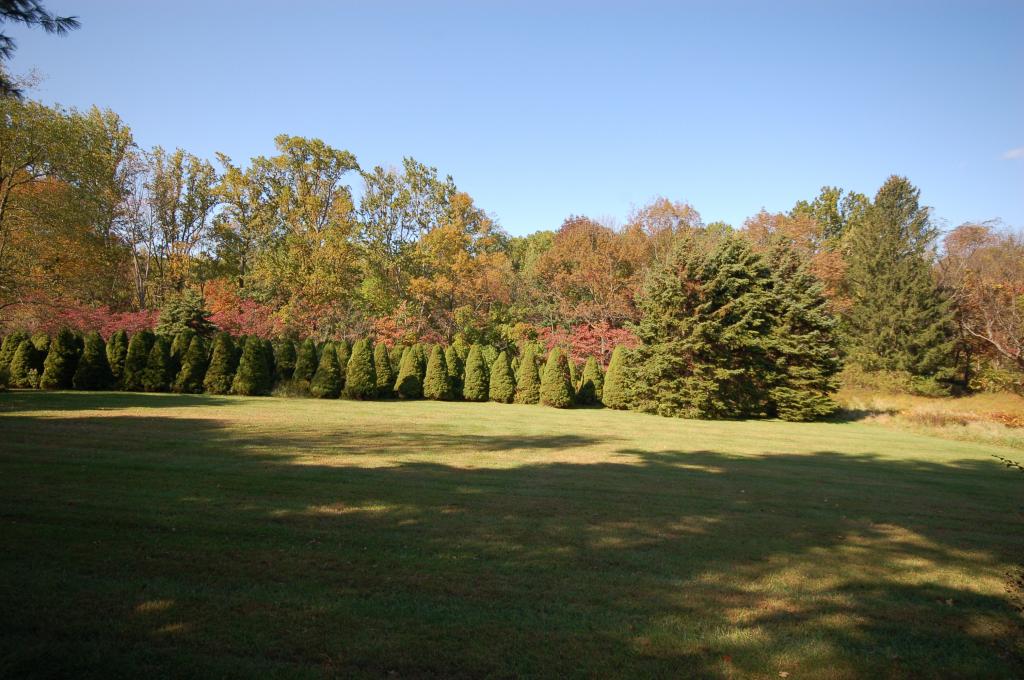 524 Charlestown Road