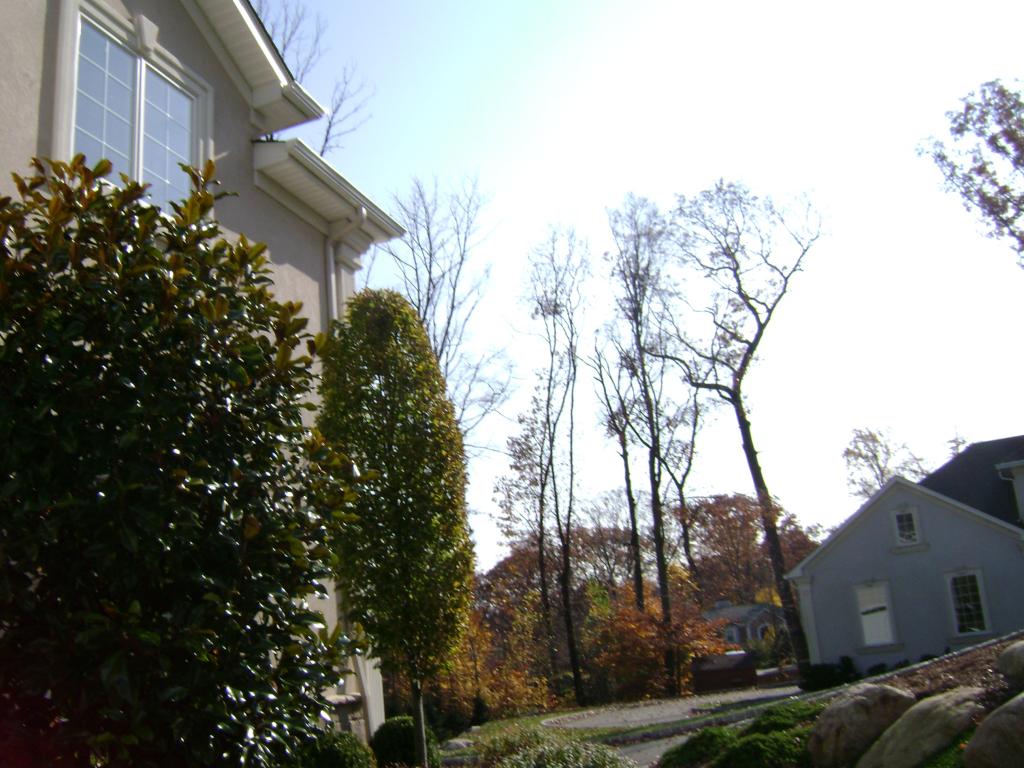 MLS #/Web ID: 2726017