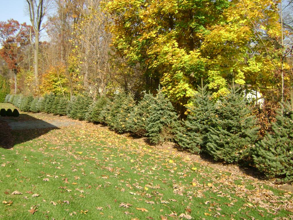 MLS #/Web ID: 2726017