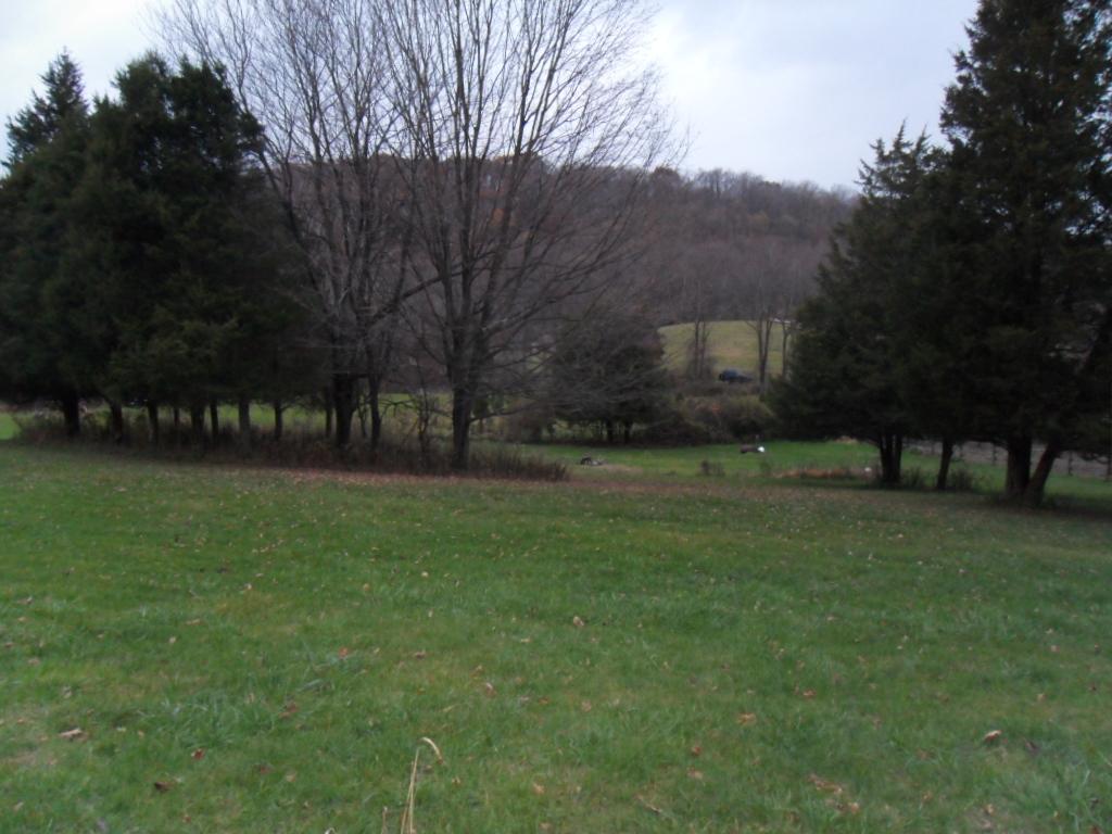 89 YELLOW FRAME RD