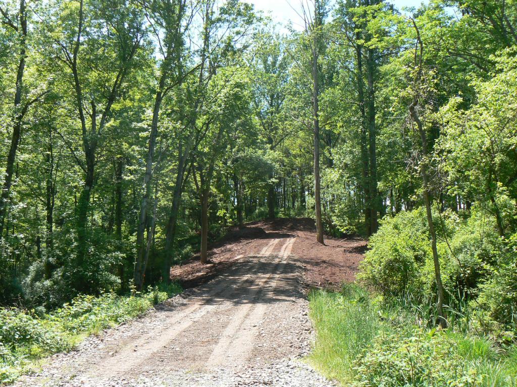 97 HARTPENCE RD