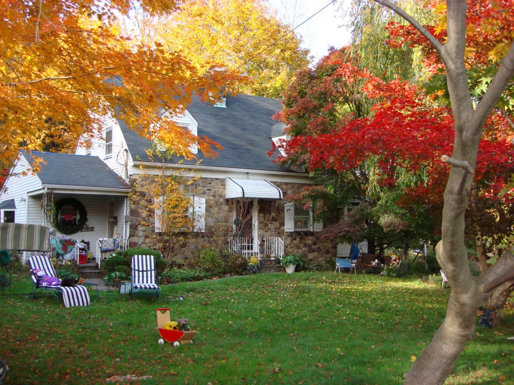 442 RIFLE CAMP RD