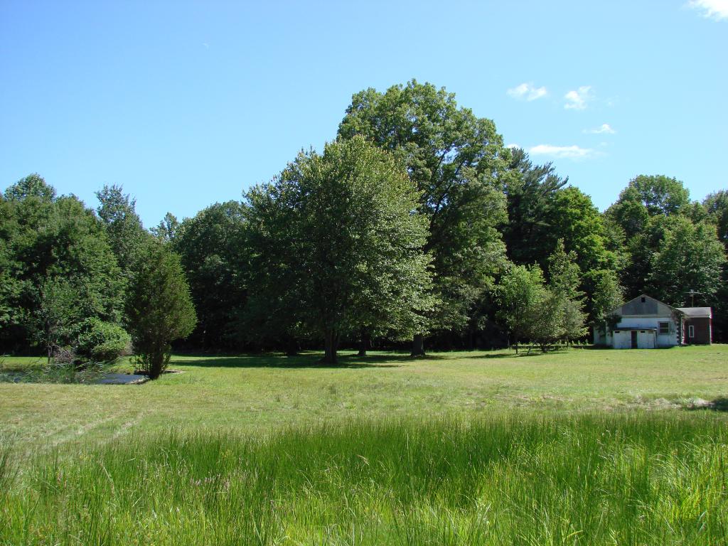 103 BOONTON AVE