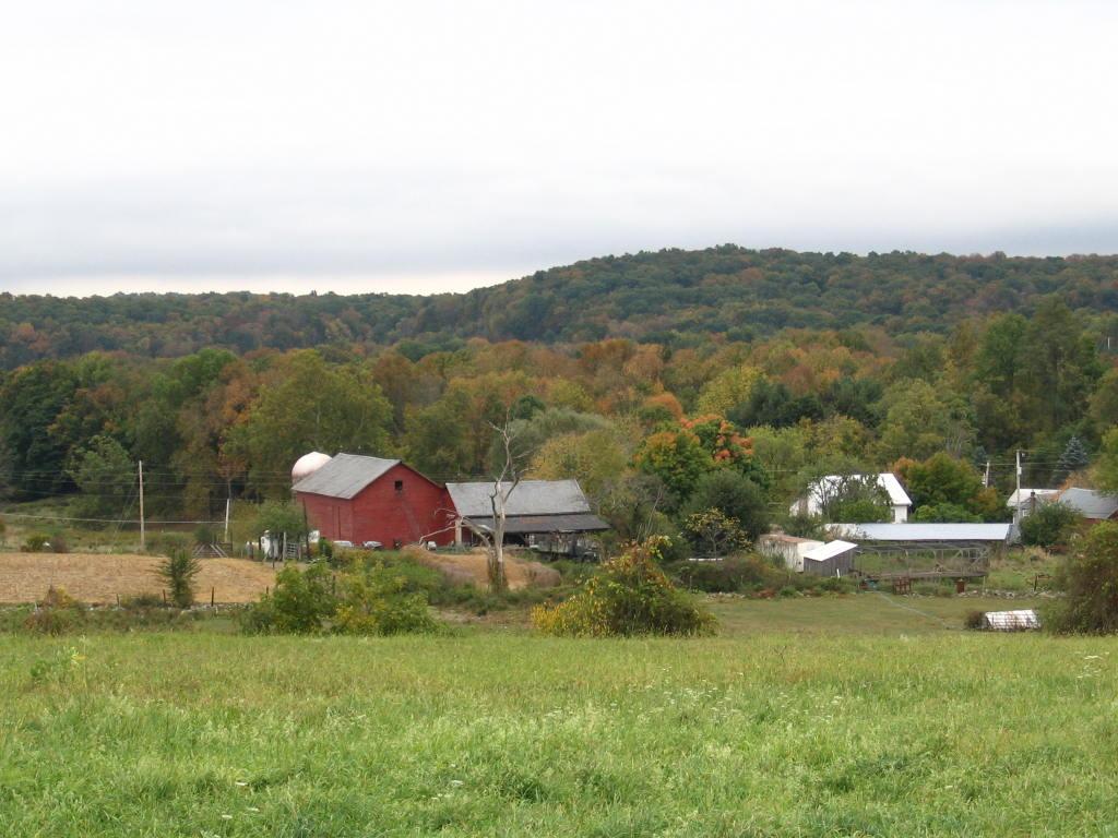 425 COUNTY RD 519
