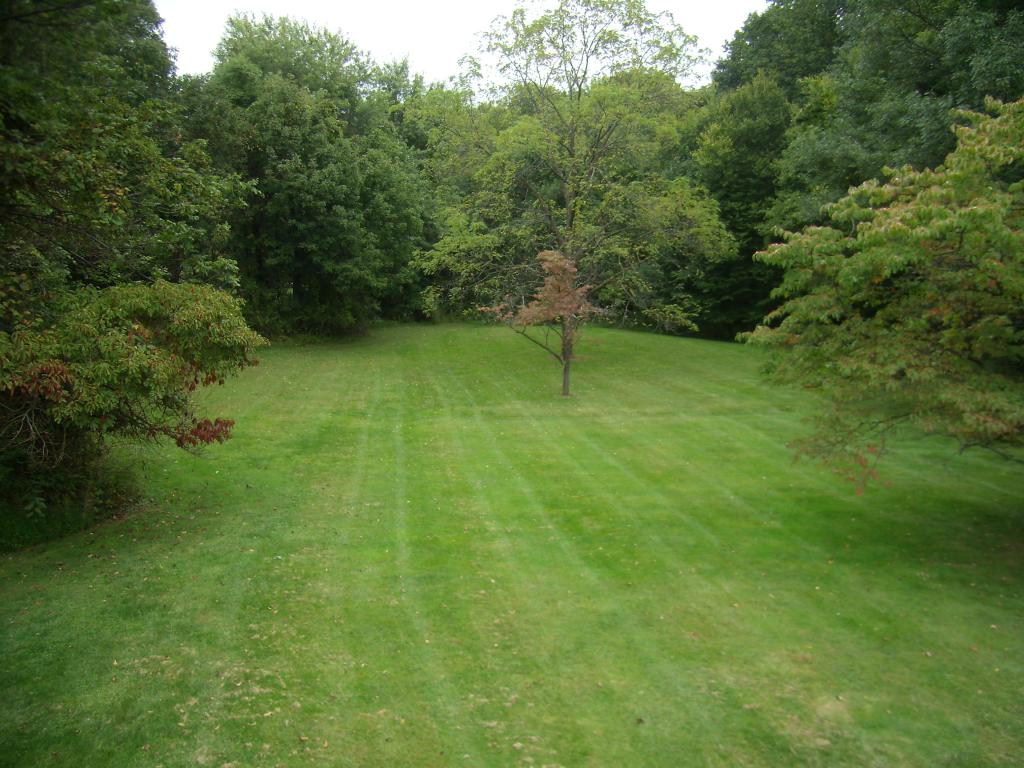 6 LISA LN