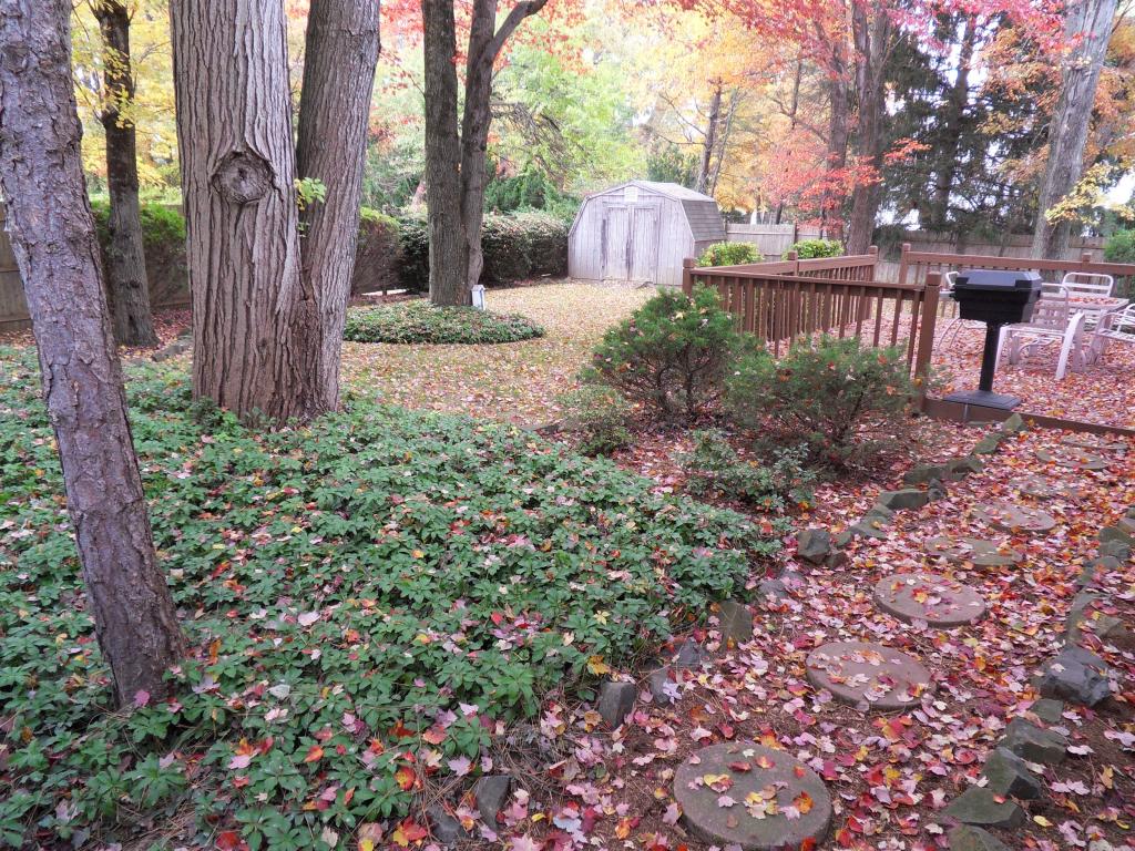 MLS #/Web ID: 2723222
