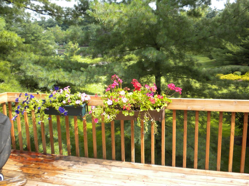 MLS #/Web ID: 2725022