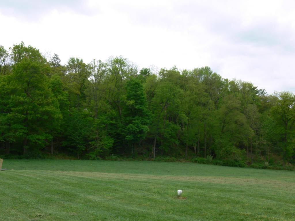 MLS #/Web ID: 2668323