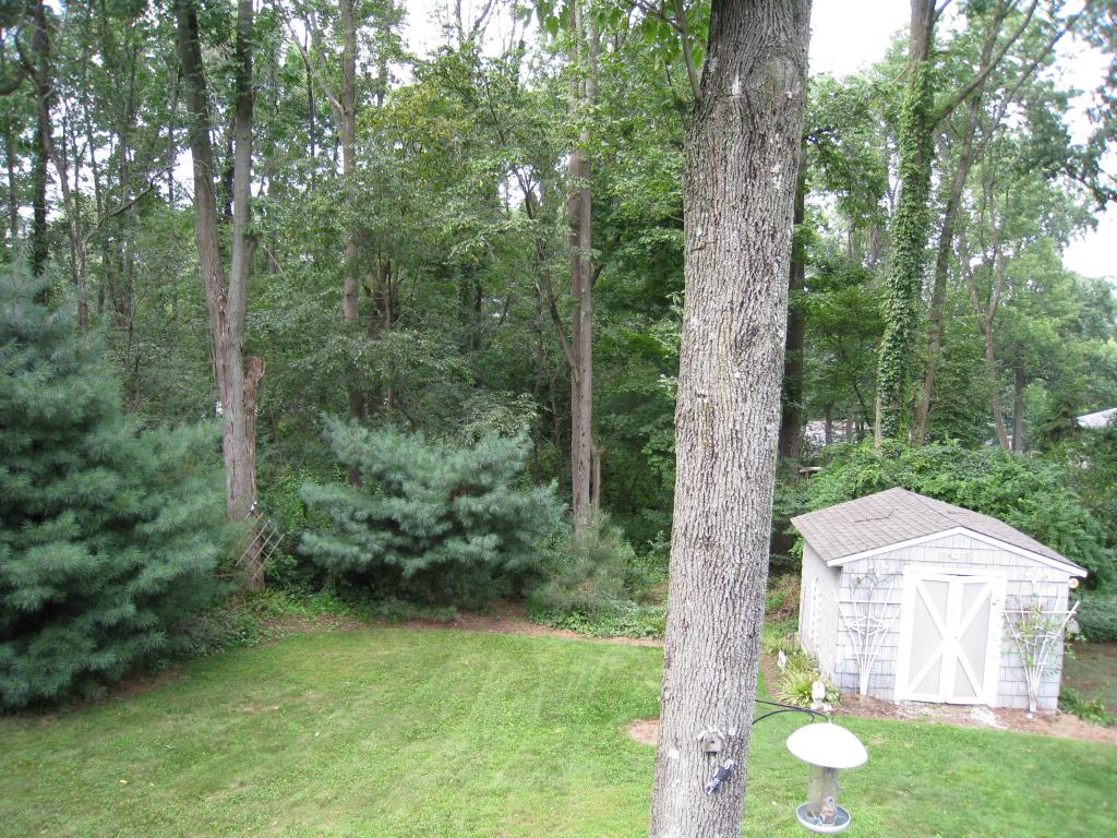4 JOHN CT
