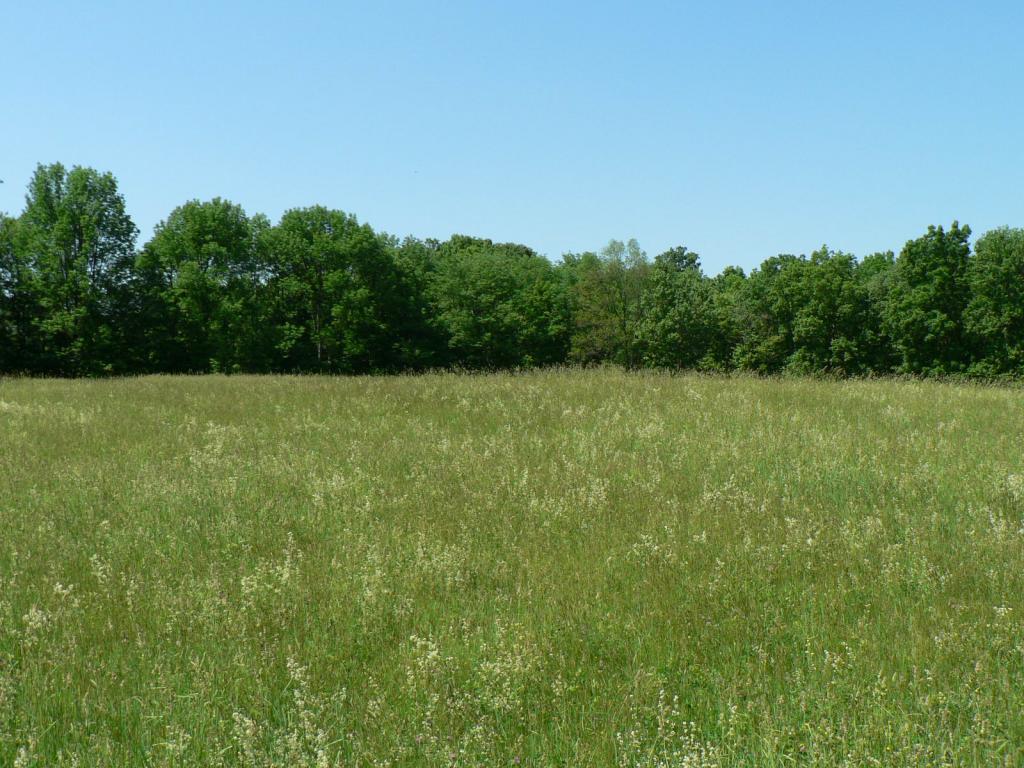 MLS #/Web ID: 2712924
