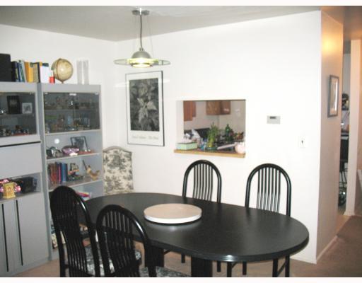 386 MCDOWELL DR