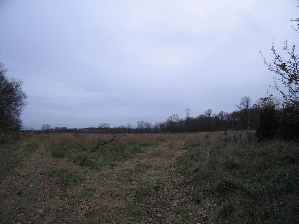 MLS #/Web ID: 2727024