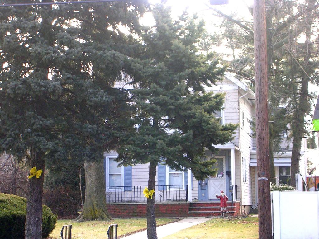 Stately legal 3 Fam.on oversized lot.1bed.,2bed and studio apt. Enormous potential.Sold #as-is".Buyer Resp. for CO.Great investment opportunity.Owner anxious will consider all reasonable offers. 