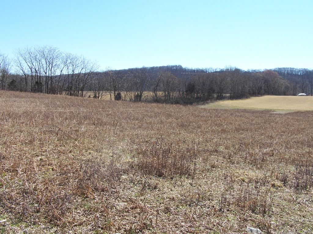MLS #/Web ID: 2649625