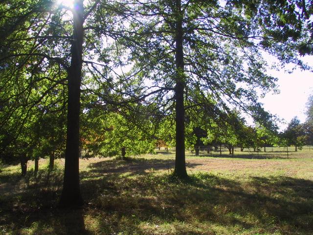 MLS #/Web ID: 2685225