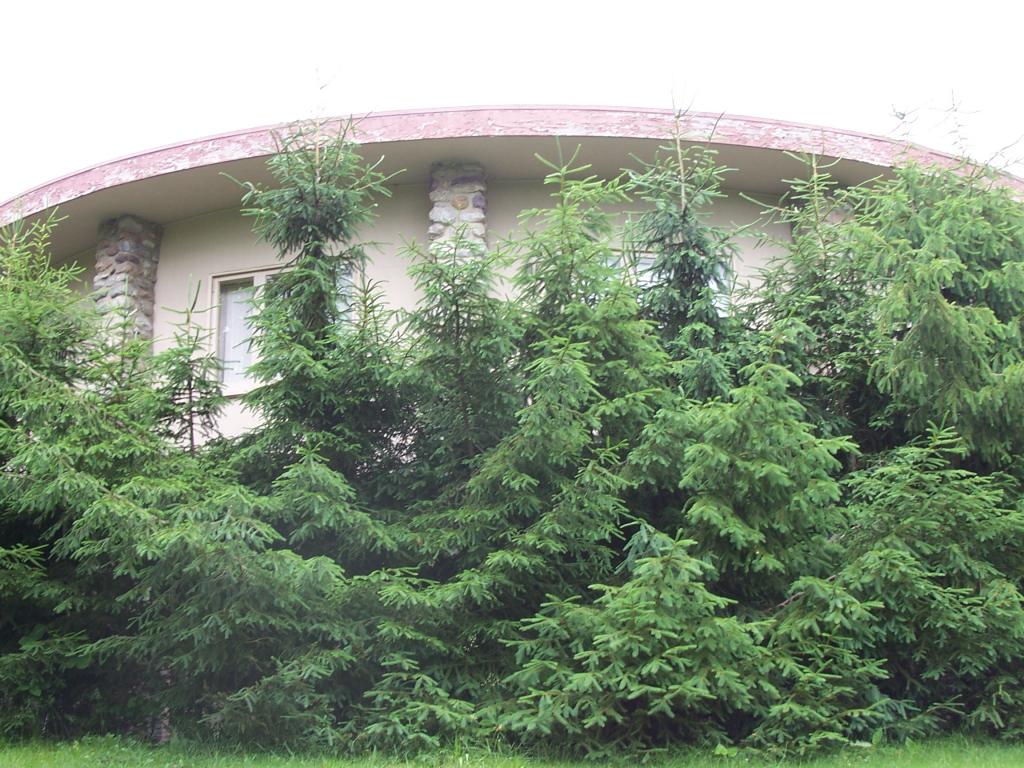 MLS #/Web ID: 2695025