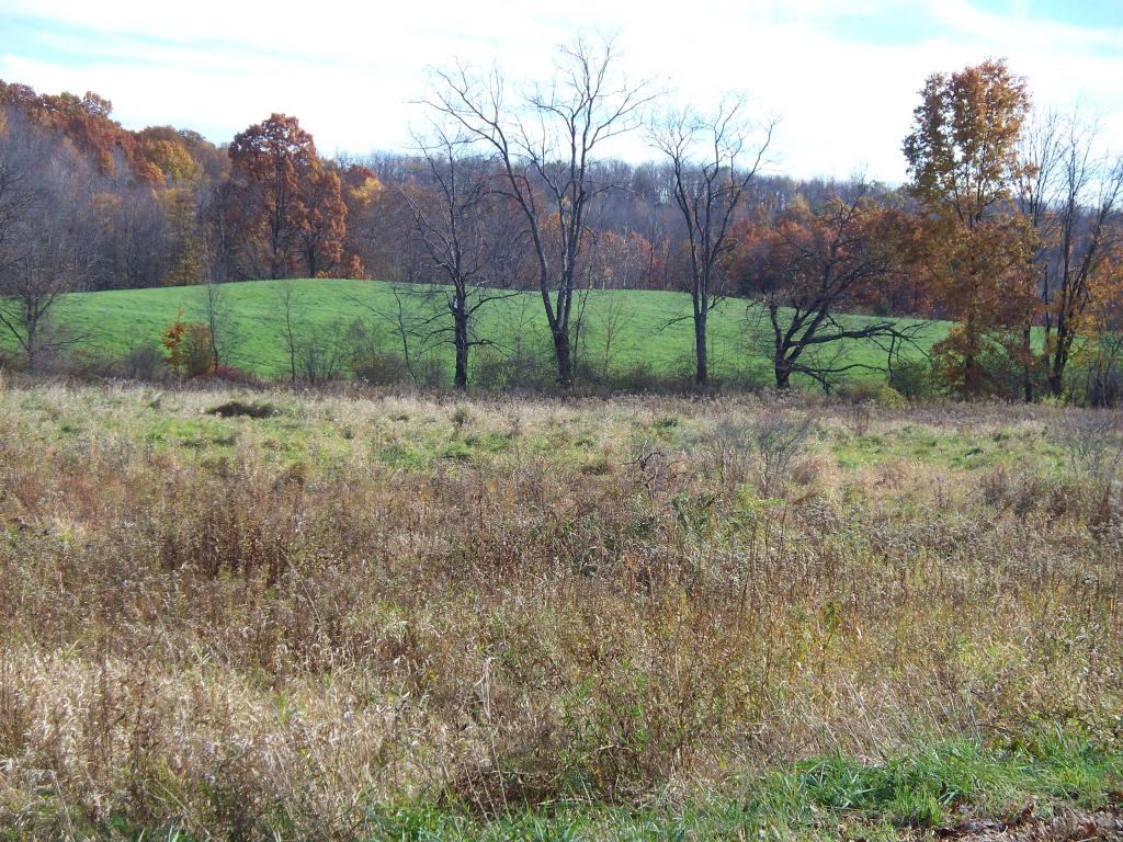 0000 CENTRAL SCHOOL RD