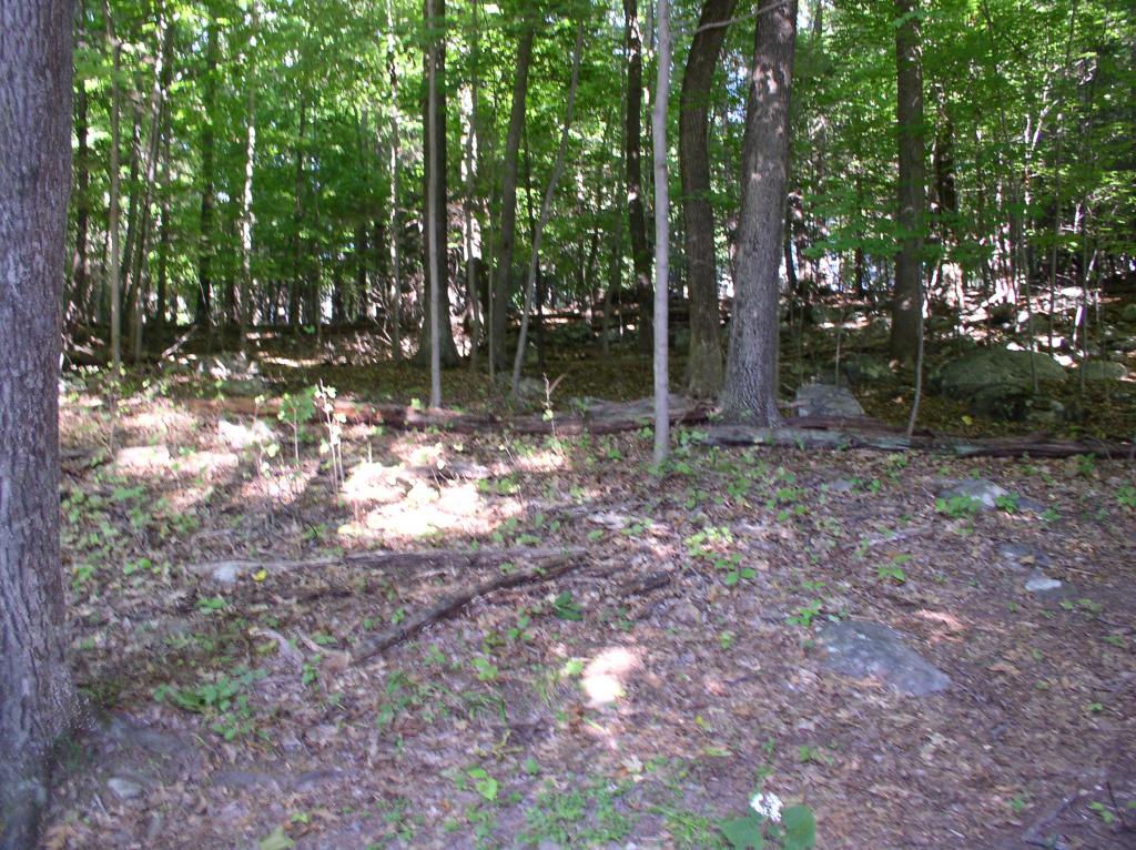 MLS #/Web ID: 2563426
