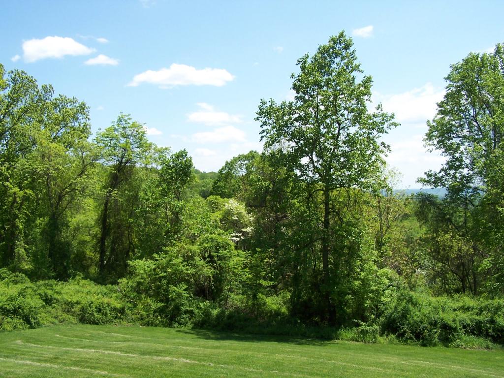 MLS #/Web ID: 2648826
