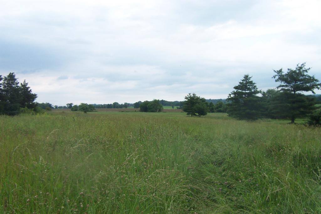 165 CIDER MILL RD
