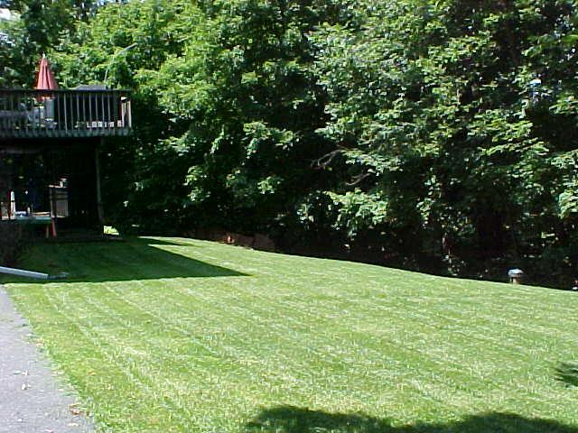 5 HILLSDALE DR