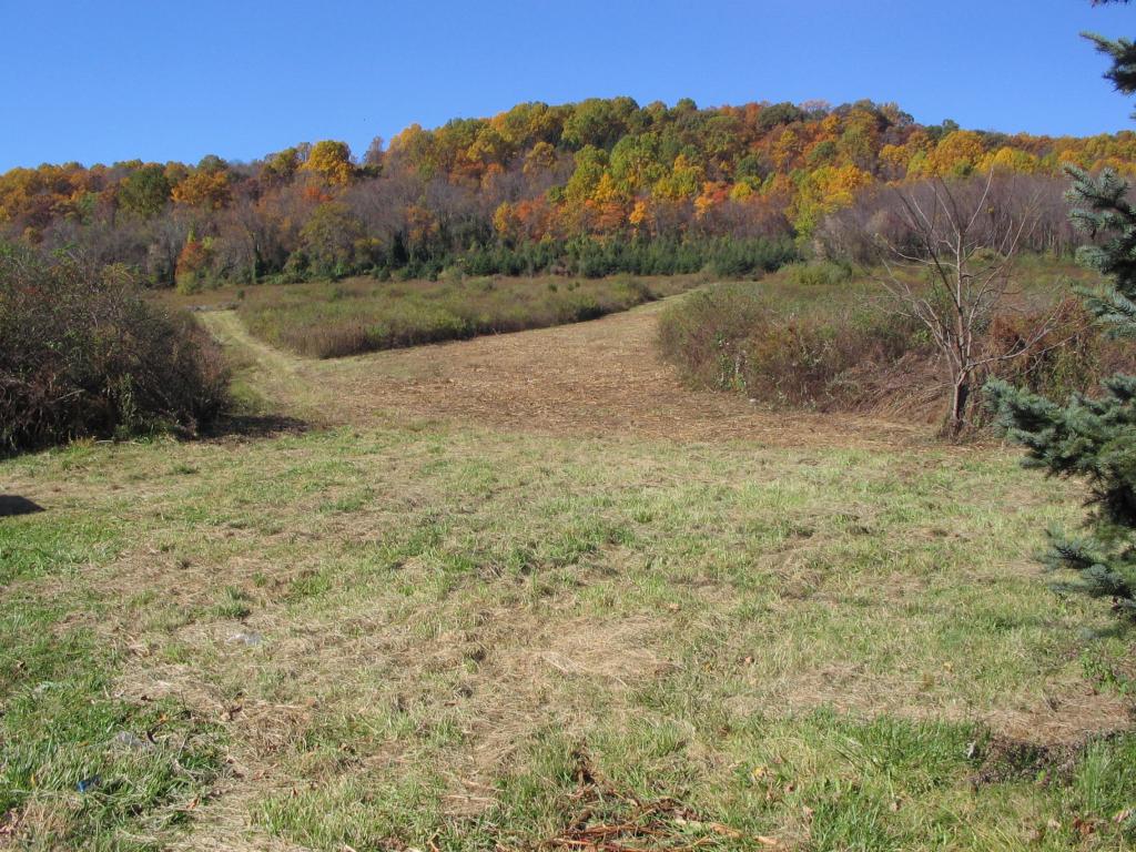 MLS #/Web ID: 2710526