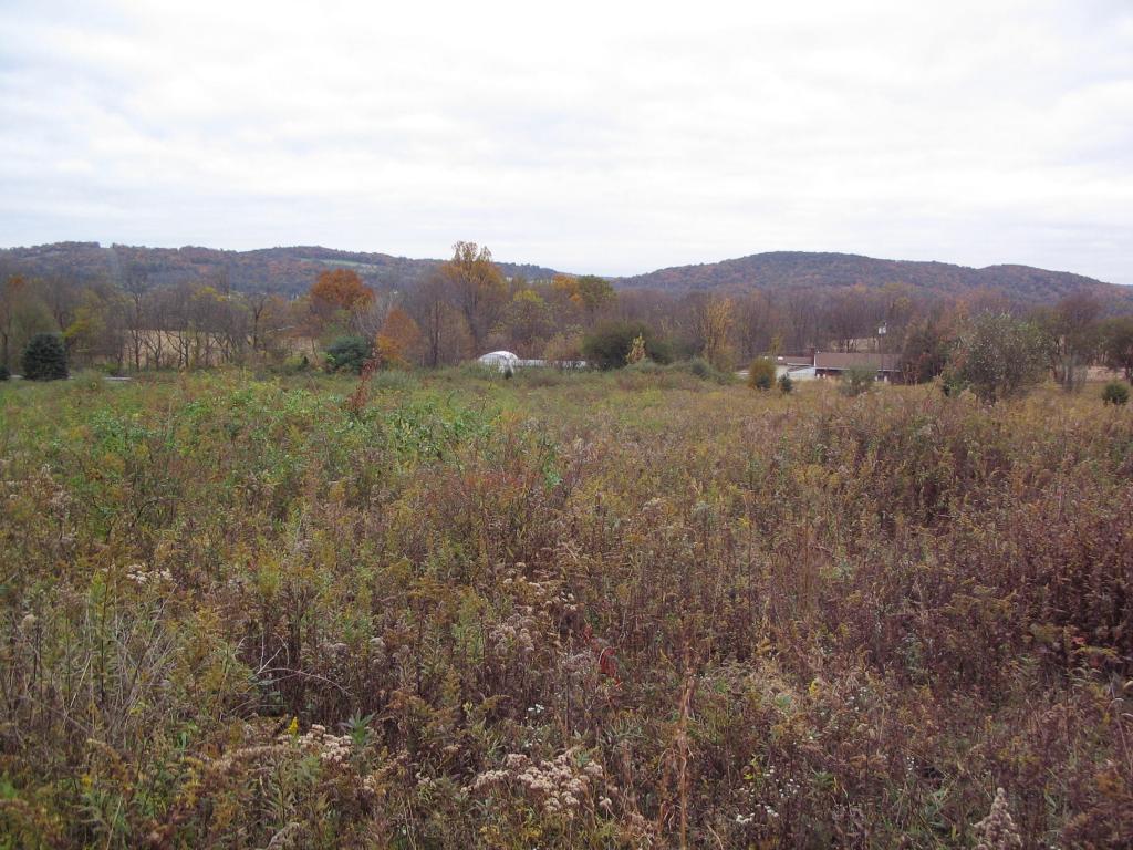 MLS #/Web ID: 2710526