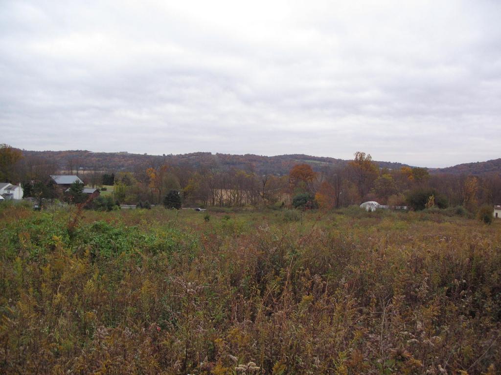 MLS #/Web ID: 2710526