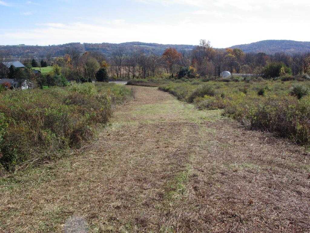 MLS #/Web ID: 2710526