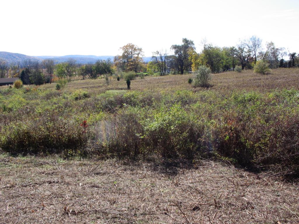 MLS #/Web ID: 2710526