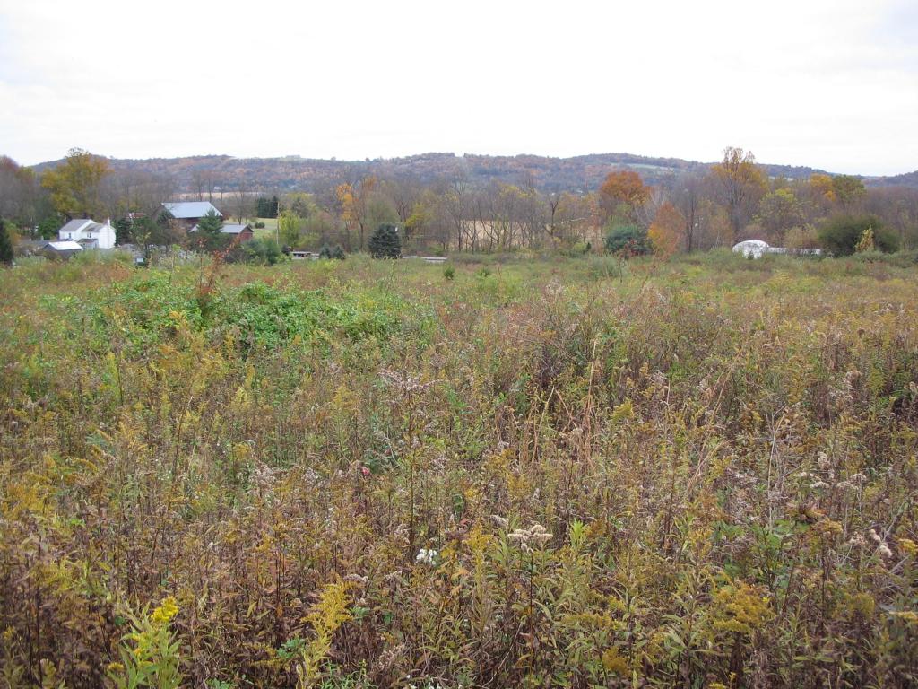 MLS #/Web ID: 2710526
