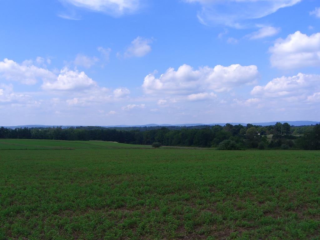 1049 State Highway 12