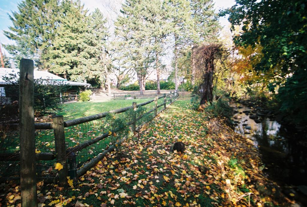 MLS #/Web ID: 2725427